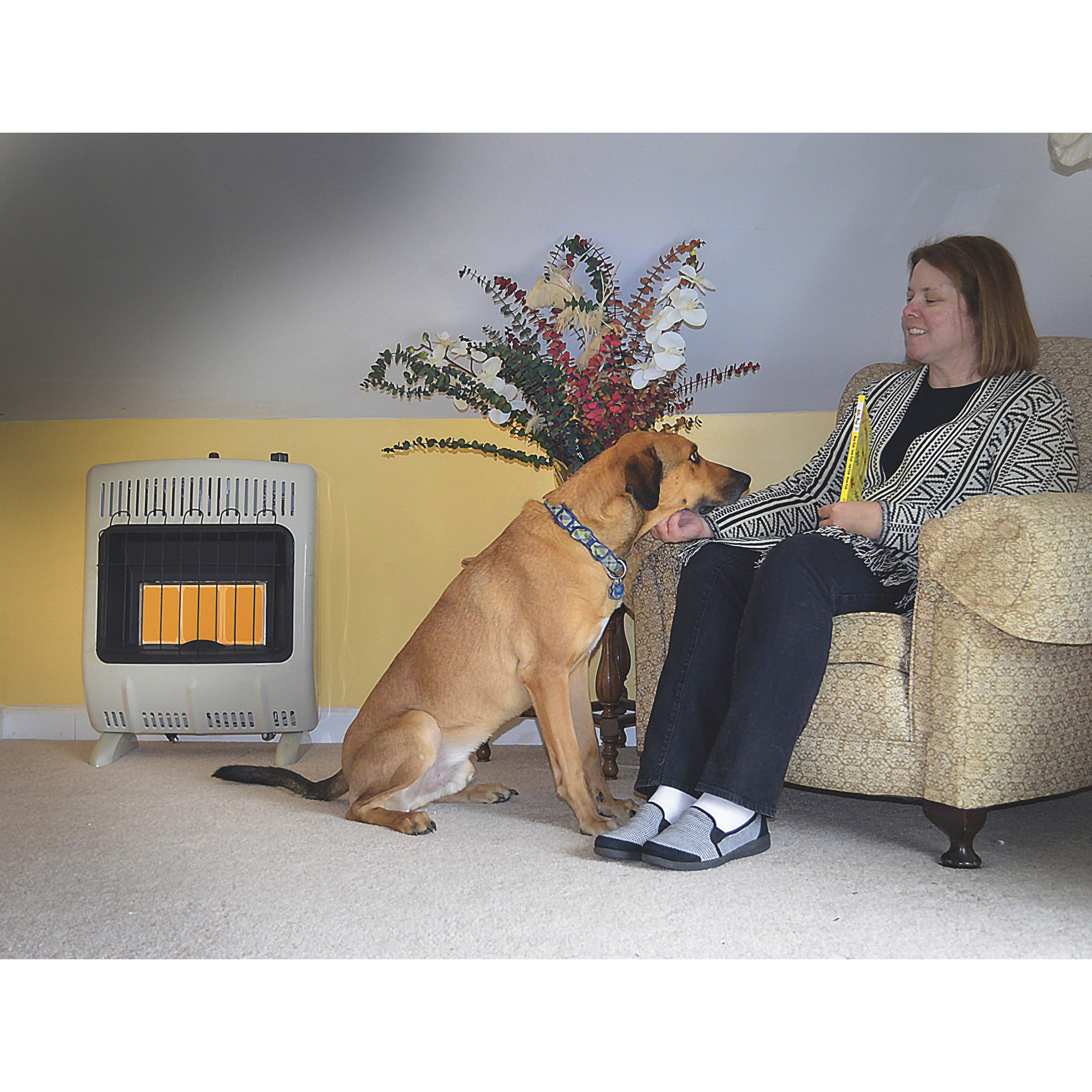 Natural Gas Heater in living room